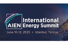 AIEN International Energy Summit